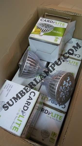 Lampu Sorot Spot PAR38 12watt 960lm/watt